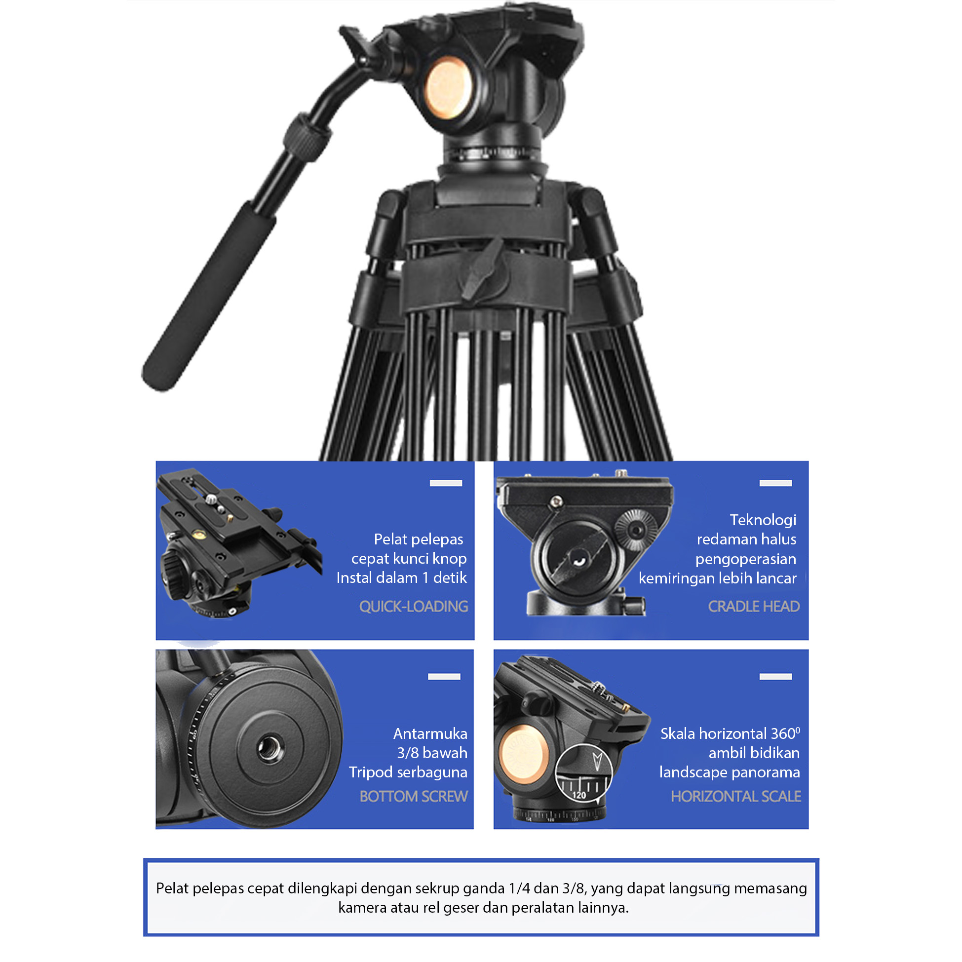 Yalangoch Mishel Pfayfer quyoshda chomilish